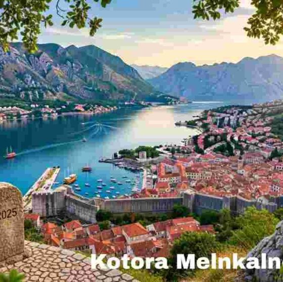Exploring the Enigma: The Fascinating World of Kotora Melnkalne
