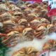 The Art of Calamariere: A Culinary Journey into Italian Seafood Delights