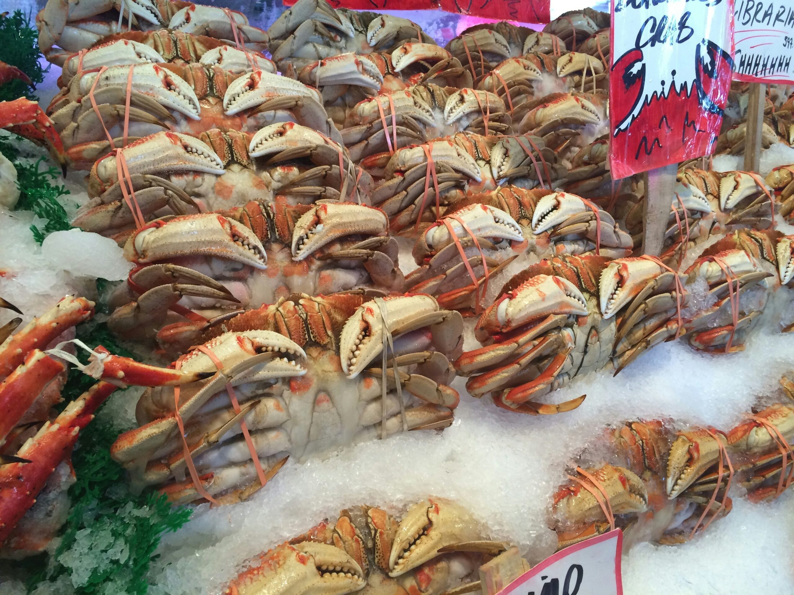 The Art of Calamariere: A Culinary Journey into Italian Seafood Delights