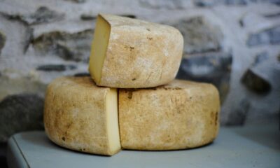Discovering Masgonzola: The Creamy Cheese You Need to Try